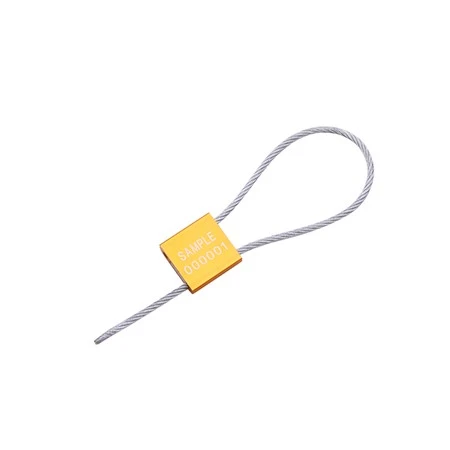 Cargo Seal