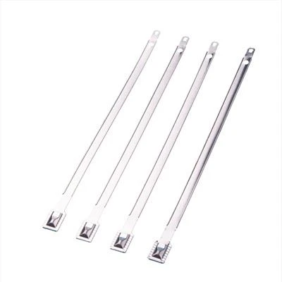 Stainless Steel Seals